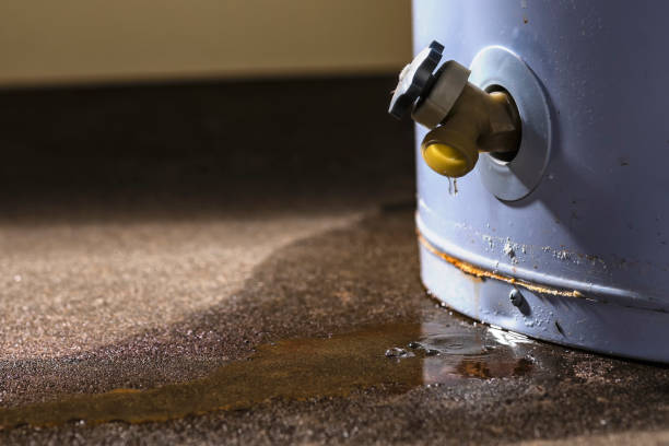 Trusted Chesapeake, VA Water damage restoration Experts